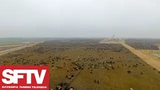 McDonalds Beef Sustainability Project | Ag Technology | Successful Farming