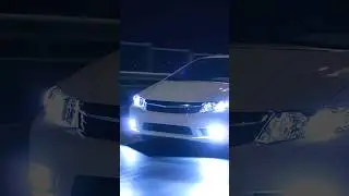 aN iLLeGaL DriViNG LaW wE ALL bReAK!
