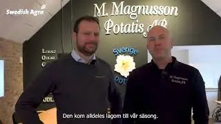 Ät vad du vill - bara det är potatis därtill