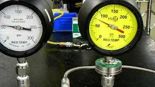 Gauge & Snubber vs  REOTEMP Seal Gauge with PulsePlus