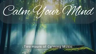 Calm Your Mind with Flute Music🌿| An Hour of Sleep Time Music #anxietyreliefmusic #soothingsounds