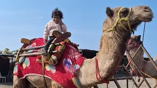 Pune ( Wakad ) to Lonavala One Day Trip | Tiger Point | Mapro Garden | Family Vlog