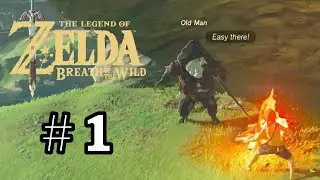 LINK AWAKEN - Breath Of The Wild Meme Walkthrough Gameplay - Part 1