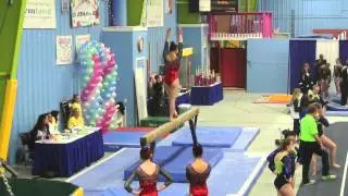 Fantasia Classic 2014