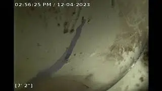 Lev E of Miami Beach camera inspection