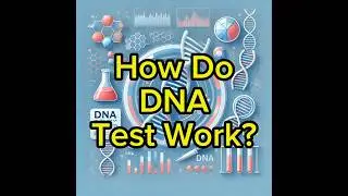 How Do DNA Tests Work? | Uncovering the Science Behind Genetic Testing 🧬