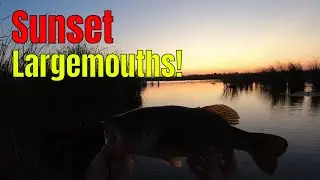 Bass Fishing the Great Lakes! (Fishing for Largemouth Bass in Michigan)