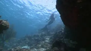 Mermaid at Hol Chan, Belize