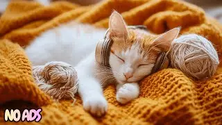12 часов успокаивающей, мечтательной музыки для кошек 🐈 Музыка для снятия тревоги и глубокого сна �