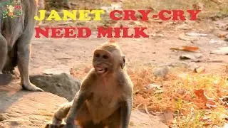 CRY-CRY FOR MILK , JANET RUN FAST ANGRY MOM JANE DENY MILK , JANE CRY - CRY LIKE BABY HUNGRY MILK |