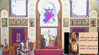 البث المباشر للفداس الالهي 17-1-2026