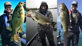 TOP 5 Fishing Lures You NEED For 2019!  (2018 Review)