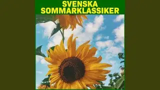 Sjumilakliv