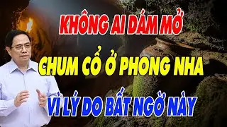 Không Ai Dám Mở Chiếc Chum Cổ Ở Động Phong Nha Vì Lý Do Bất Ngờ Này
