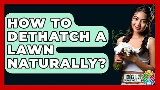 How To Dethatch A Lawn Naturally? - Holistic Balance And Bliss