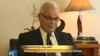 Egyptian expert on China's economy