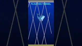 The Proposal for a Transatlantic Tunnel