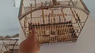 O gaiolas de torneio coleira e trinca ferro