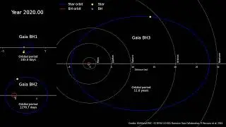 Gaia's black holes: comparison of orbits (dark version)