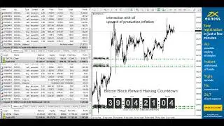 BCH live