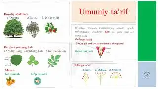Mavzu: Ranodoshlar oilasi                        Telegram Kanalimiz:https://t.me/Hasanov_biologiya