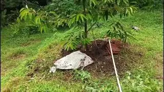 KBN KEPONAKAN SADI ASHRA CIRBON JBR 