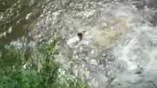 Guayamba 07