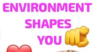 Environment Shapes Mindset