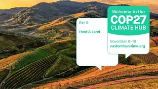COP 27 - 12th November Full Day Stream