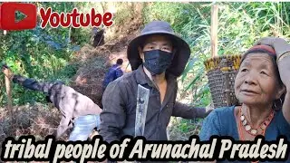 Life of tribal people in arunachal pradesh india | northeast india | hard worker