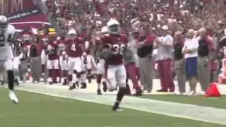 LaRod Stephens-Howling Kickoff Return