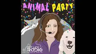 Animal Party Episode 170 Holiday Safety & Smart Pet Shopping, Cat Taming