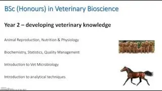 2. BSc Honours in Veterinary Bioscience -  2 of 3. Course Overview
