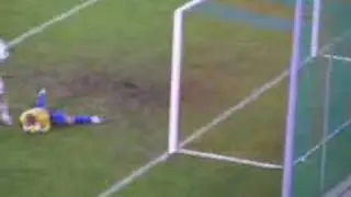 Mladen Petric is Goalkeeper