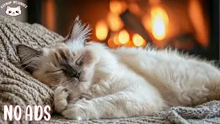 Calming Music for Cats 🐈 Deep Soothing Sound for Anxious, Ill, and Stressed Cats!