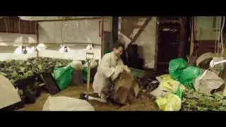 Bad Seeds   Trailer