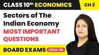 Sectors of The Indian Economy - Most Important Questions | Class 10 Economics Chapter 2 | CBSE 2025