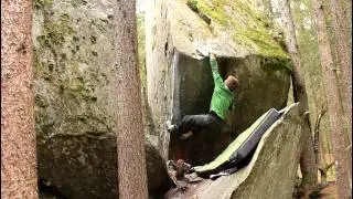 Four days in Magic Wood