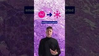 Our research into lung cancer 🔬 | Cancer Research UK | #Innovation #LungCancer #CancerVaccines