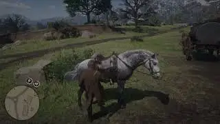 Lets''s Play: Red Dead Redemption #54 Got the oil wagon
