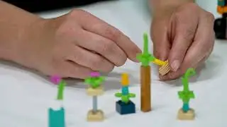 Lego Education Science - Hide the Seeds