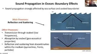 Overview: Elements of Acoustic Whale Detection