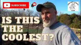 The Coolest Thing On The Homestead: A Healthy Compost Pile