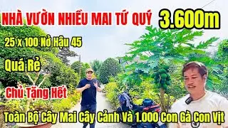 Tập 41 : NHÀ VƯỜN CÓ NHIỀU CÂY MAI TỨ QUÝ VEN TPHCM ❤️ Có Ao Cá Vườn Cây Cảnh Mặt Tiền Đường Nhựa
