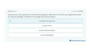 Que pouvez-vous ajouter &agrave; un article de blog pour d&eacute;limiter le contenu qui appara&icirc;tra dans sa versio