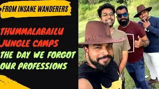Thummalabailu Jungle Camps 🌳 🏔️ 🦓 || #insanewanderers || #shorts ||