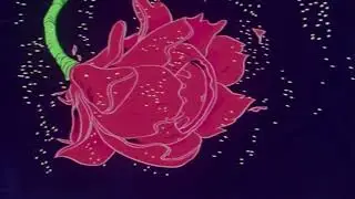 the first taste - fiona apple (slowed + reverb)