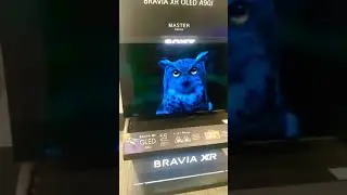 Sony A90J demo