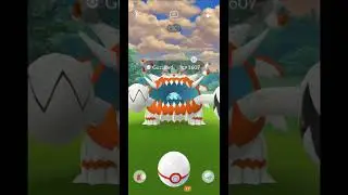 Timburr Community Day Recap - Pokemon GO