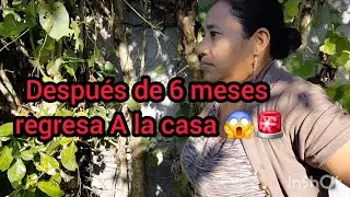 Urgente 🚨 después de 5 meses de irse de la casa aparece con hijos 😱